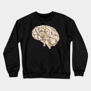 Brain human anatomy vintage mental Crewneck Sweatshirt